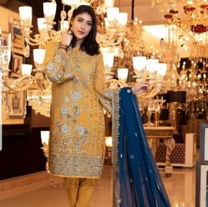 Pakistani chiffon 3pc dress